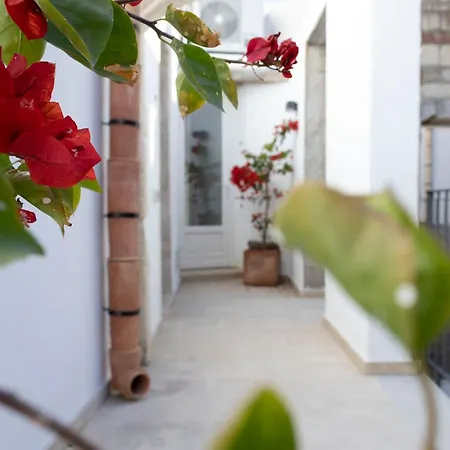 Isabella Di Castiglia