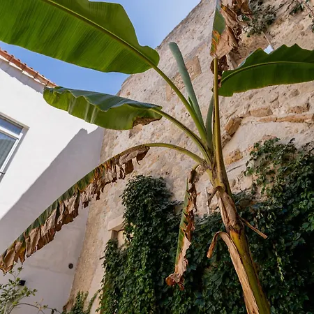 Isabella Di Castiglia