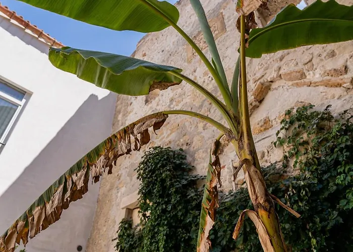 Isabella Di Castiglia